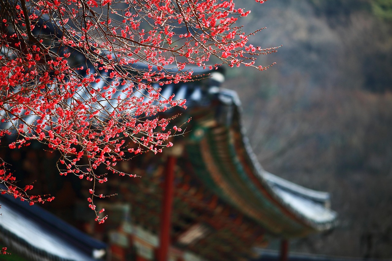 한국사무료