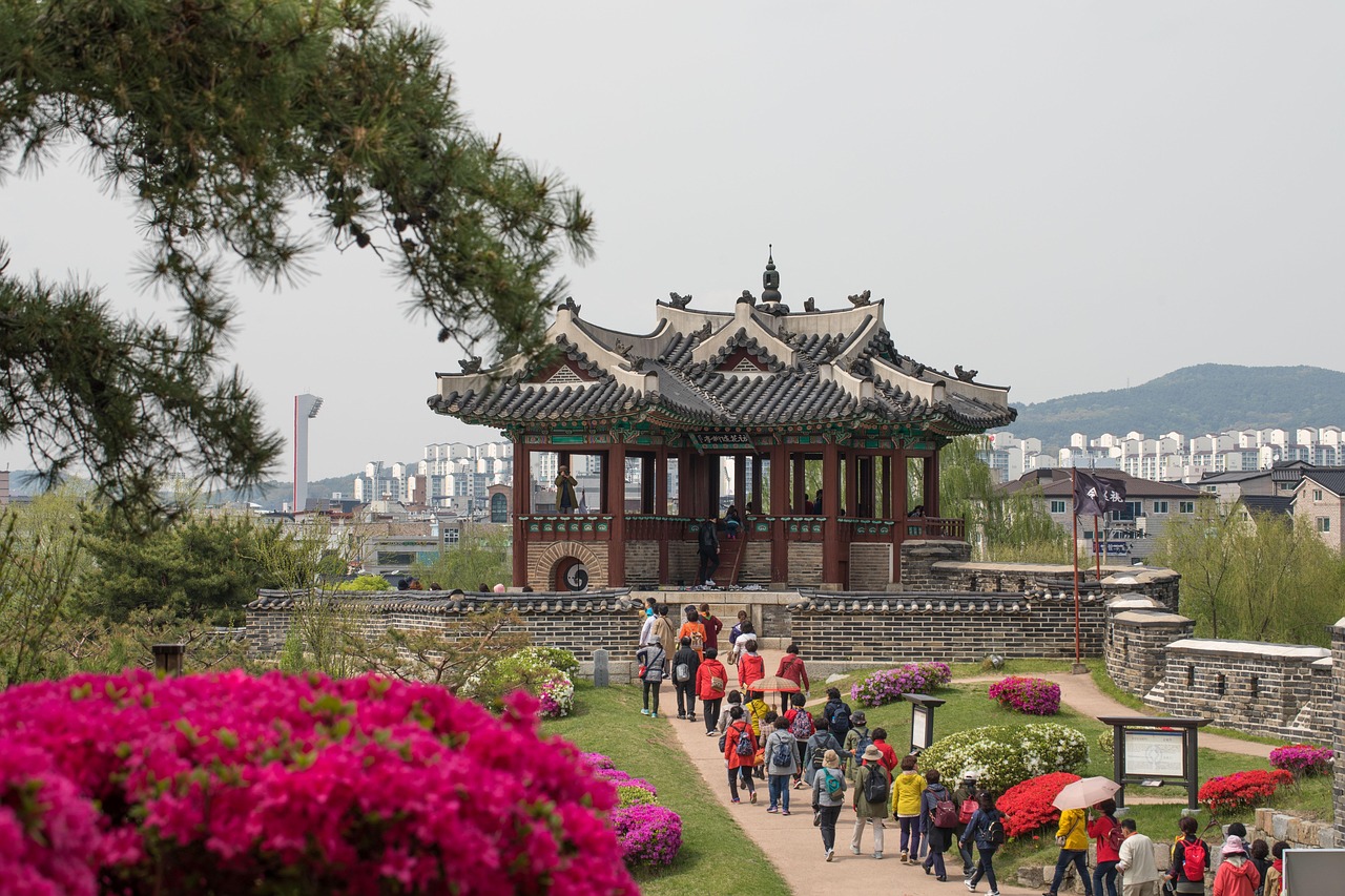 볼만한고전영화