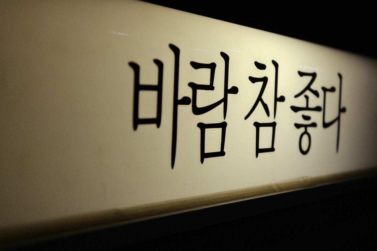 여의도다시보기