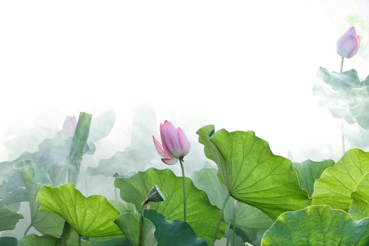 판타지소설보는사이트