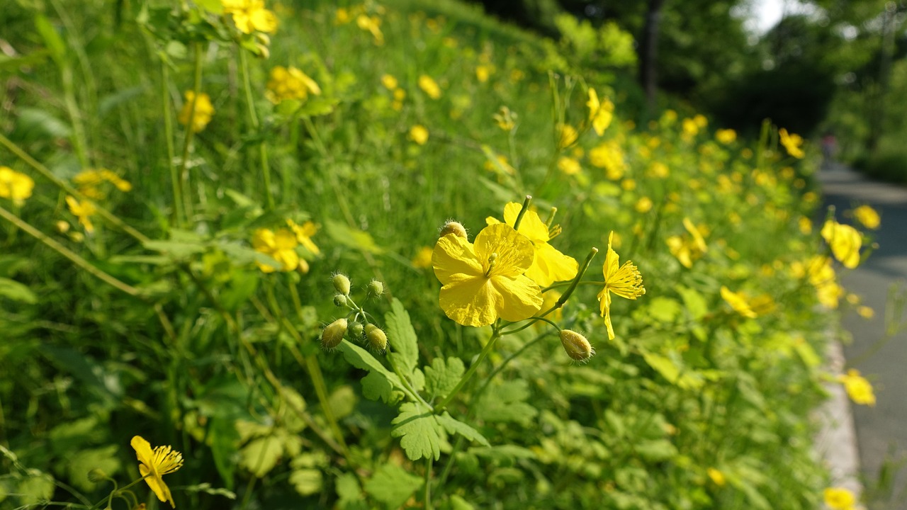 결정적 한방 다시보기