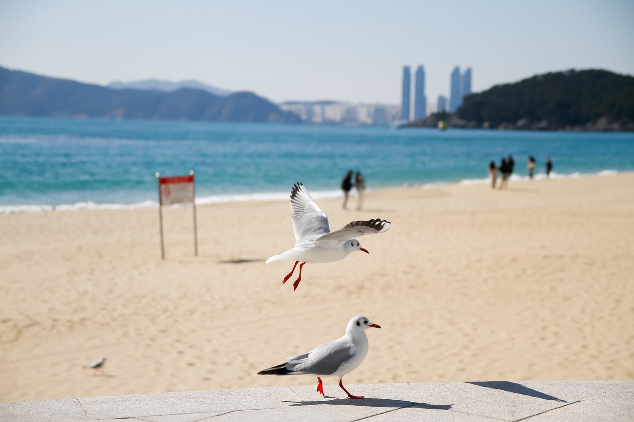 영화해운대다시보기