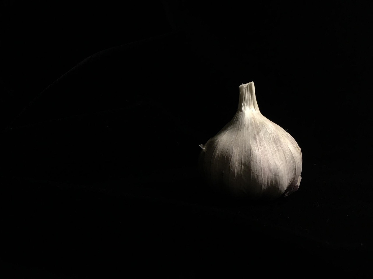 드롭아웃 다시보기