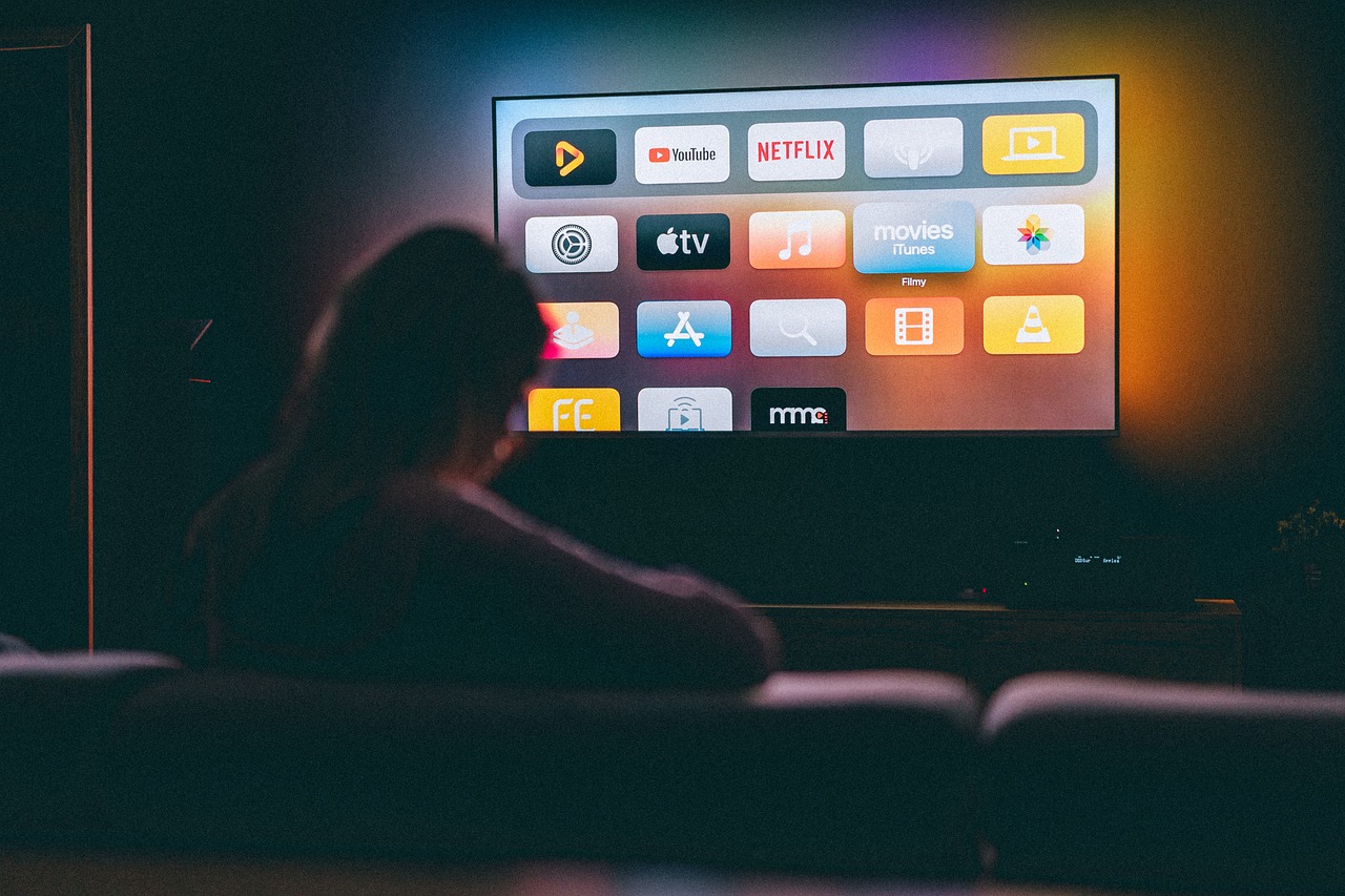 인터넷TV프로그램