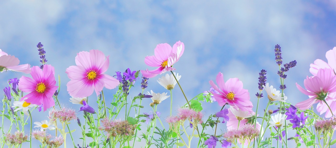 거짓말다시보기