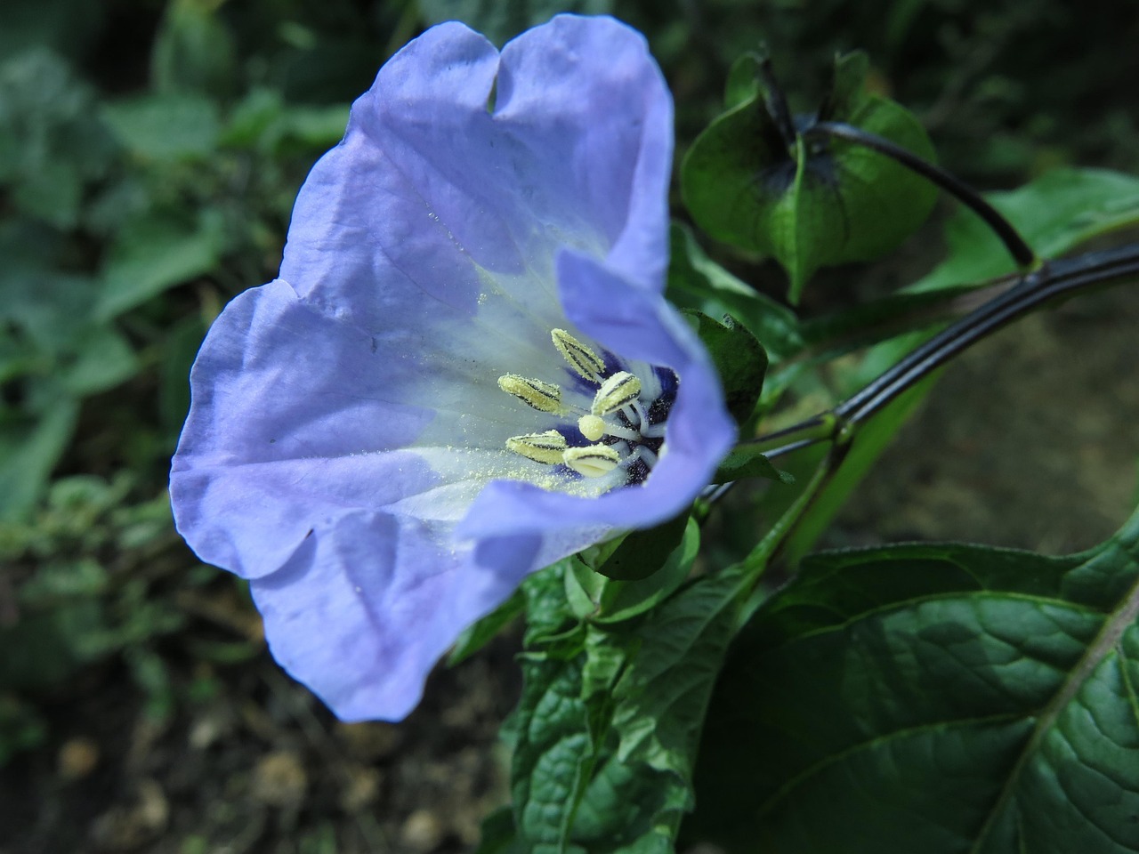포이즌다시보기