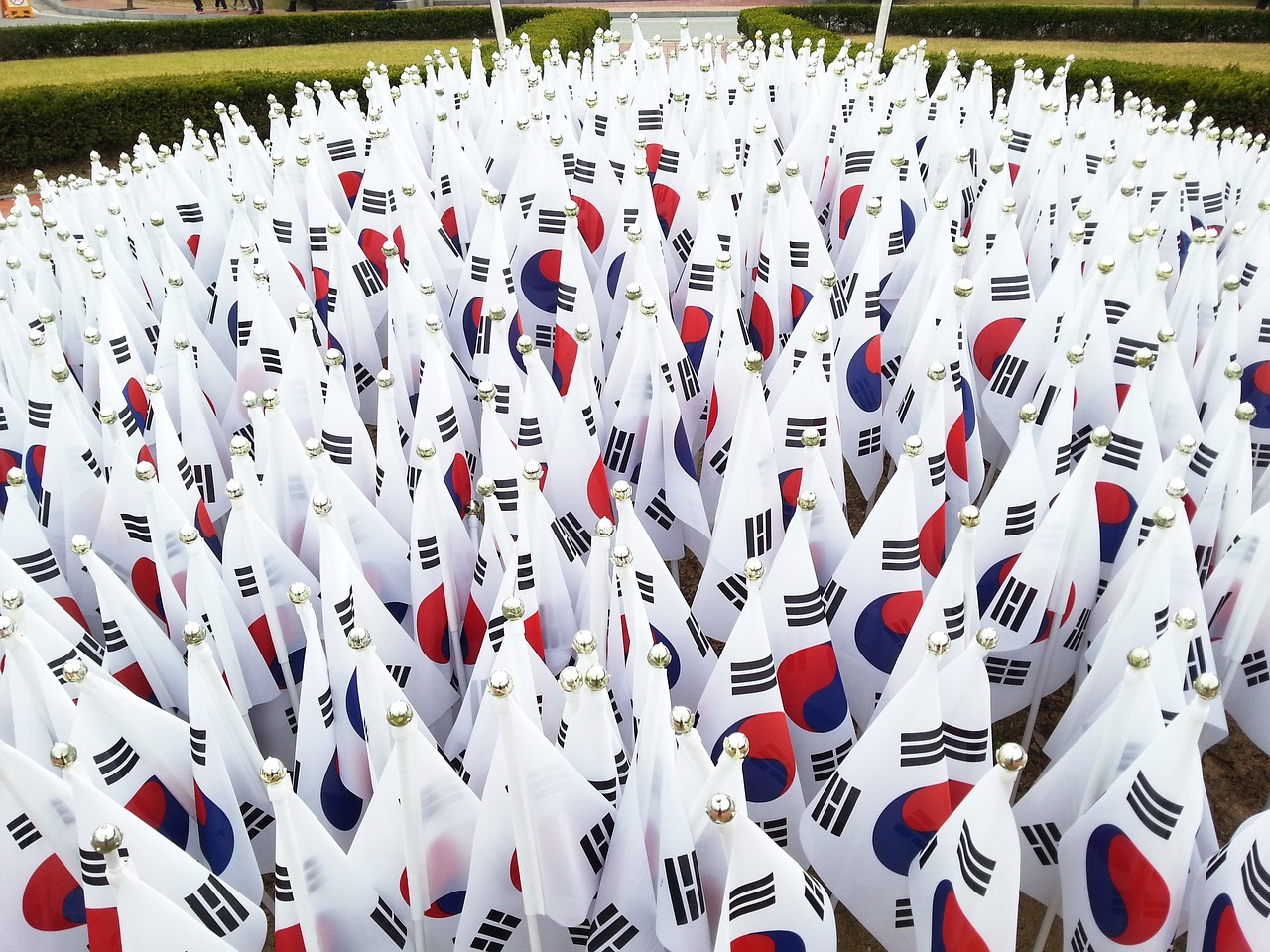 셀레브레이션