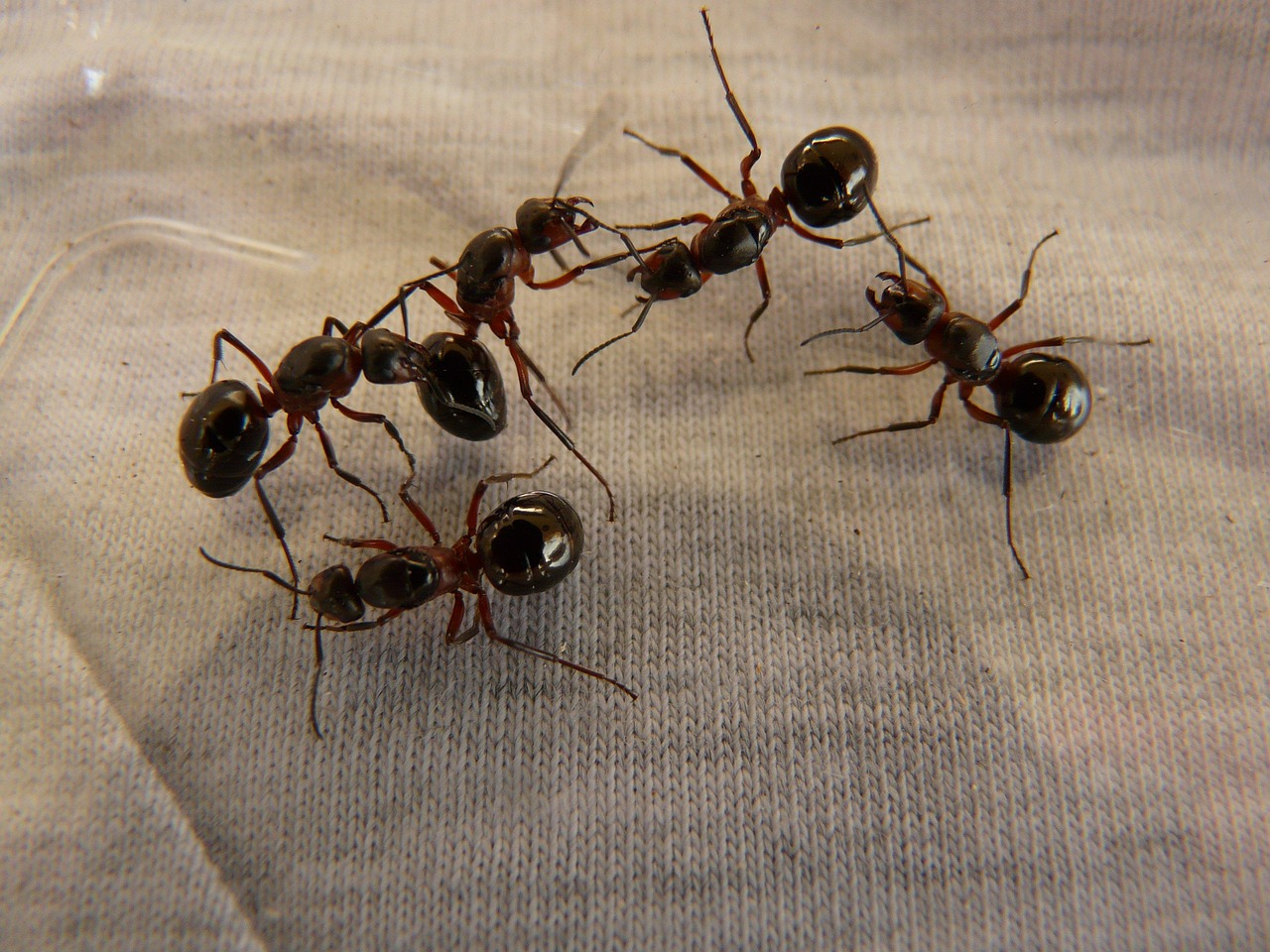 선덕여왕무료
