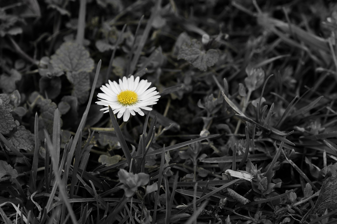 불멸의 이순신 다시보기