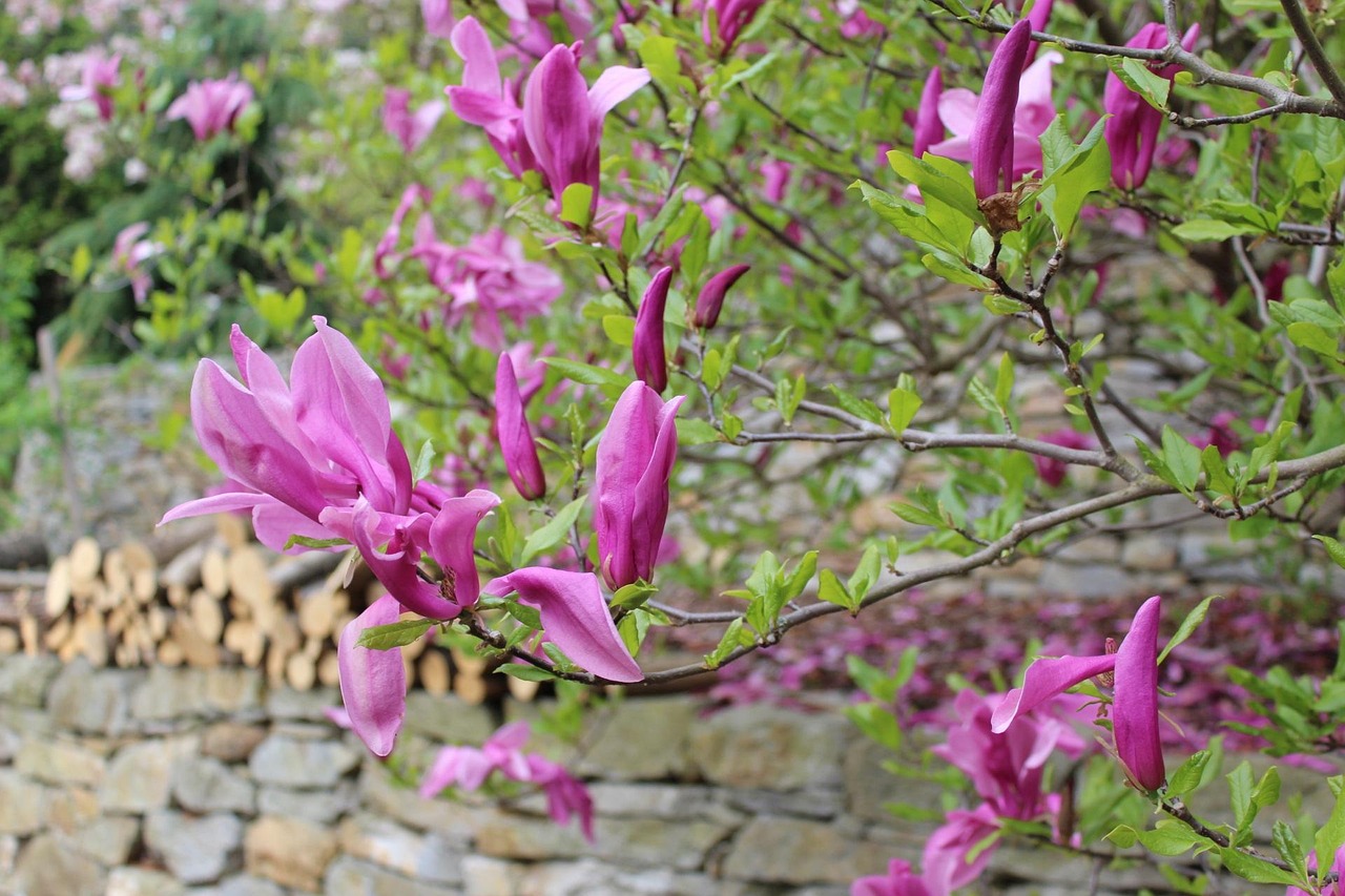 비밀의 비밀 다시보기