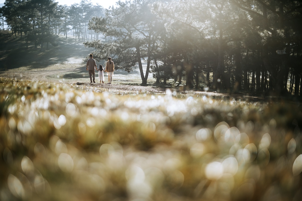 푸콘 가족 다시보기