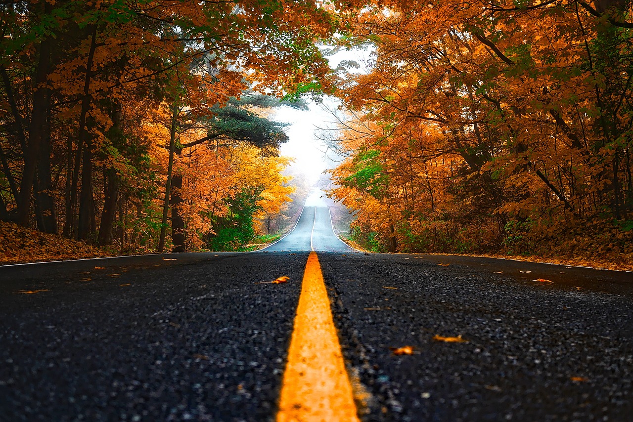 똑바로살아라다시보기