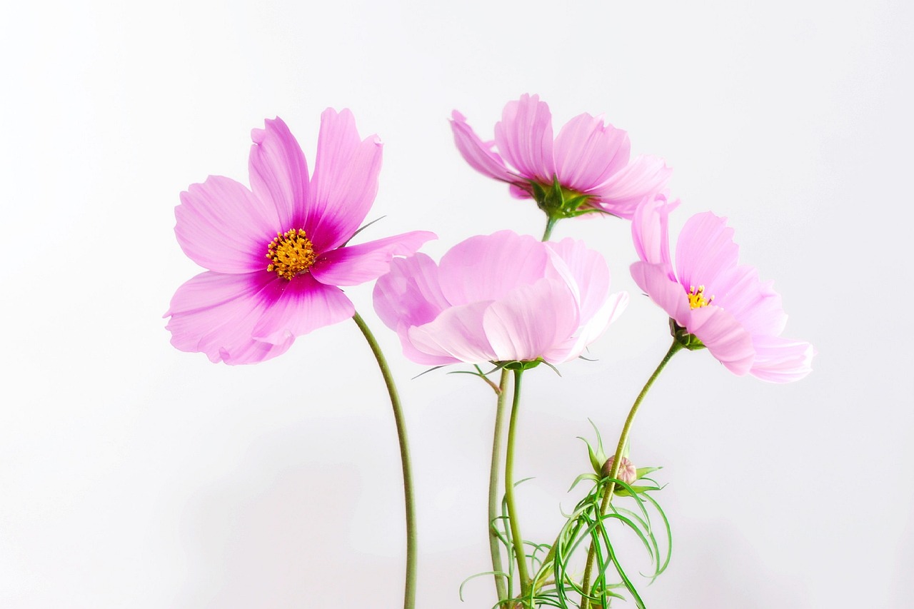 소용없어 거짓말 다시보기