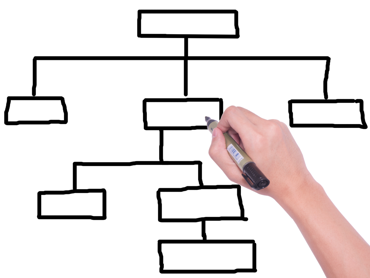 예능보는사이트