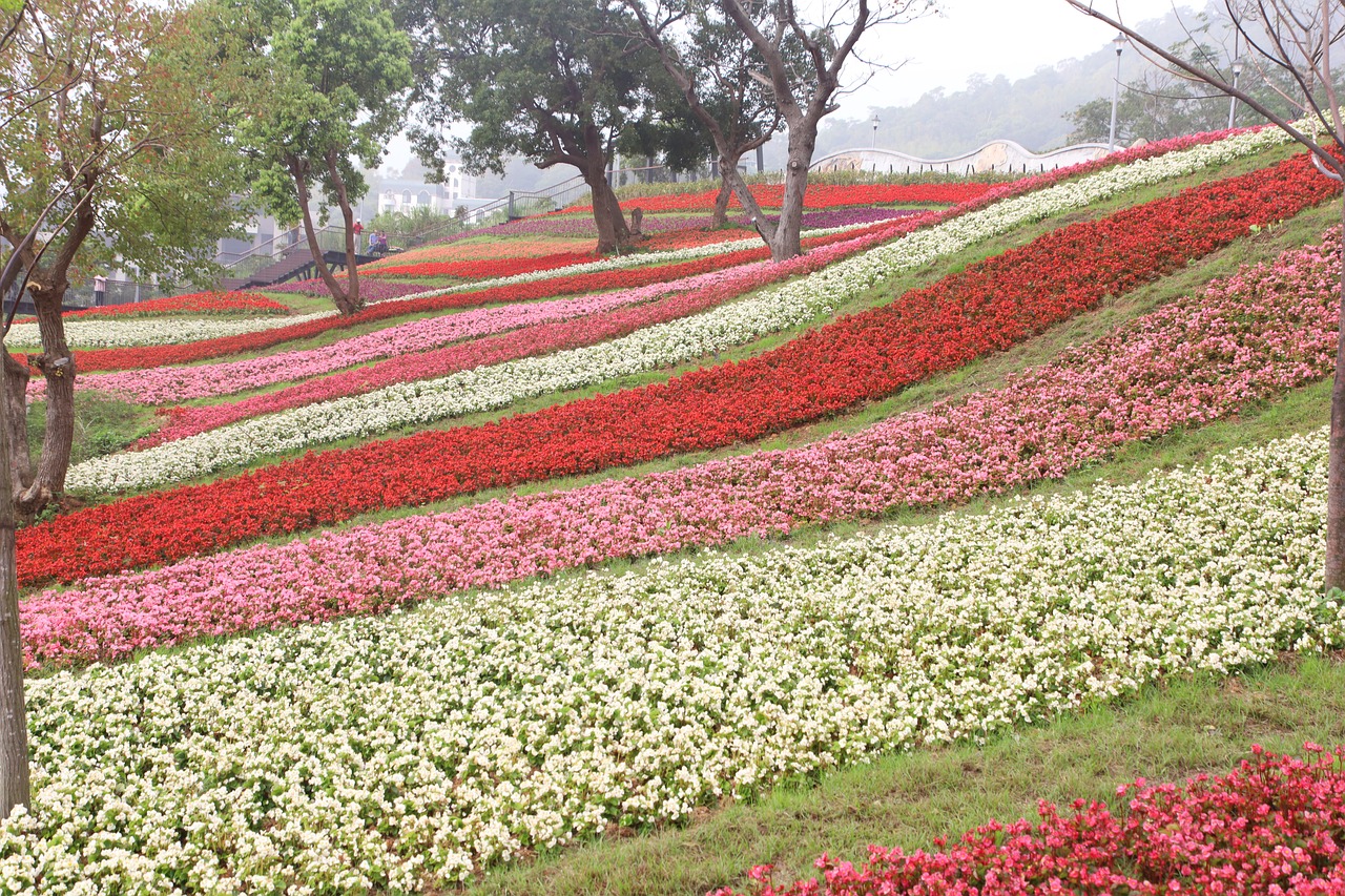 이층의악당보기