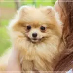 편리한 다운로드사이트 저장 방법과 추천 팁
