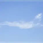 안전한 토렌트대체 다운로드 방법과 추천 사이트 안내