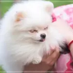 인기있는 영화다운로드 최신 사이트 추천과 안전한 방법