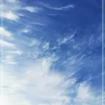 회원가입 파일다운 재생 쉽게 따라하는 방법 완벽가이드