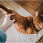다양한 드라마다시보기 파일받기 빠르고 안전한 방법
