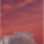 자료많은 영화다운로드 보기 최신 인기작 빠르게 찾기
