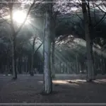 최신 인기웹하드 재생 빠르고 안전한 이용 방법