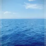전문웹하드 다운로드사이트 안전하고 빠른 파일받기 방법