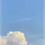 모바일지원 자료실 보기 쉽게 찾는 방법 안내
