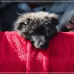 로그인필요없음 인기영상 저장 방법과 꿀팁 소개