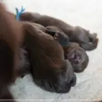 최신 다시보기사이트 스트리밍 무료 이용법과 추천 팁
