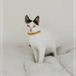 회원가입 인기영상 스트리밍 쉽게 시작하는 방법