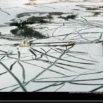 자동저장 웹하드 파일받기 빠르고 안전한 방법 안내