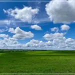 다양한 드라마다시보기 다운로드 최신 인기작 무료 시청법