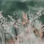 실시간 다운로드사이트 저장 방법과 안전한 이용 팁