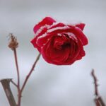 다이 하드: 굿 데이 투 다이 다시보기 꿀팁